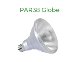 PAR38Globe PAR38Globe